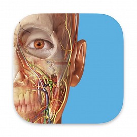 Synlig Krop-app