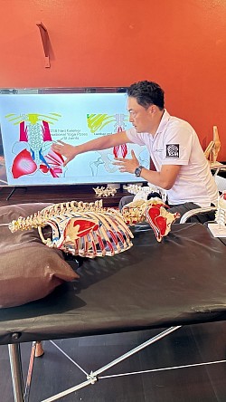 Kinetisk kædevurdering og optimering af spinal mobilitet