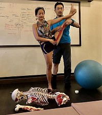 Funktionelle Anatomie für Yogalehrer