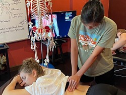 Klinisches Palpationspraxis-Training