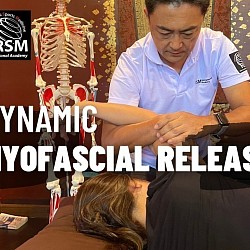 Kurs in Dynamischer Myofaszialer Entspannung