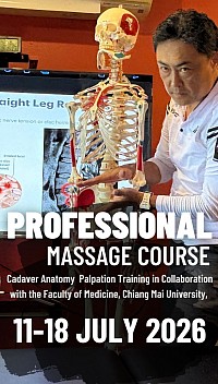 Professioneller Sportmedizin-Massagekurs