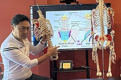 Funktionelle Anatomie