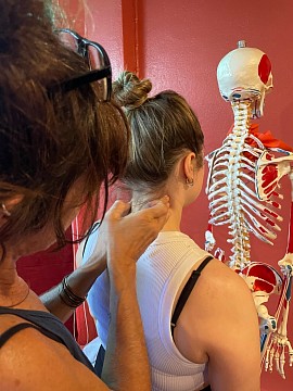 Práctica de palpación del cuello y del hombro con un modelo anatómico como referencia