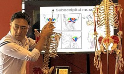 Curso de liberación miofascial para neurodinámica