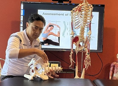 Biomécanique des articulations facettaires de la colonne lombaire