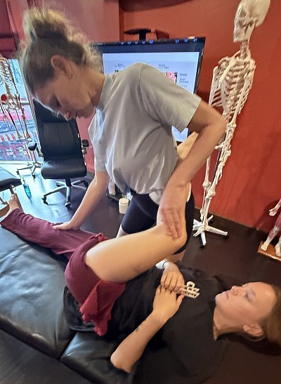 Anatomie fonctionnelle et massage sportif