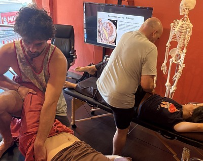 Cours de massage thérapeutique