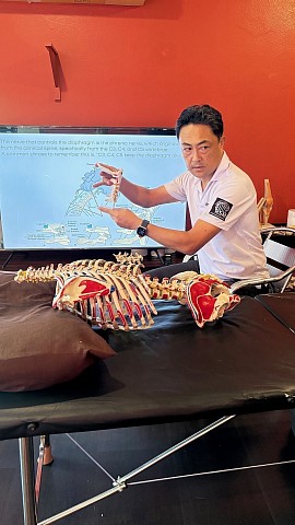 Hironori Ikeda explique les relations entre colonne, bassin et chaîne cinétique avec un modèle osseux