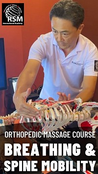 Cours de massage orthopédique pour la respiration et la mobilité de la colonne vertébrale