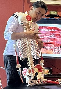 Menganalisis Mobilitas Tulang Belakang Lumbar untuk Menemukan Penyebab Nyeri