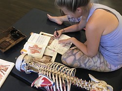 Beginners welcome! Dive deep into functional anatomy & private courses