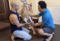Understanding spine movement enhances massage skills for pain relief & posture