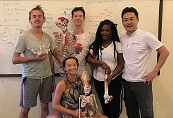 Worldwide students: therapists, yoga teachers, trainers