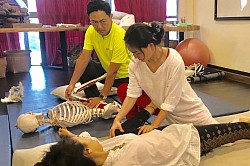 Enhance knowledge with in-depth skeletal models