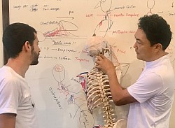 RSM offers lessons using skeletal models and detailed anatomy visuals to deepen your understanding of movement