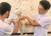 Deep spine structure knowledge enhances professional skills