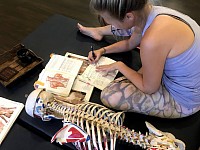 Functional anatomy insights refine client care skills