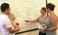 Students refine sports medicine massage skills
