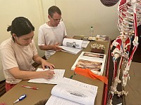 Functional Anatomy Enhances Your Profession