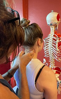Learn functional anatomy and apply that knowledge to practical massage