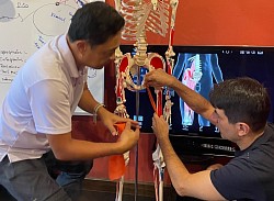 Understand how hip joint movement affects pelvic position and posture