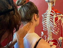 Learn the basics of palpation techniques for muscles attached to the neck
