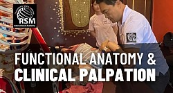 Functional Anatomy & Clinical Palpation