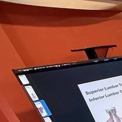 Functional Anatomy for Posture Correction