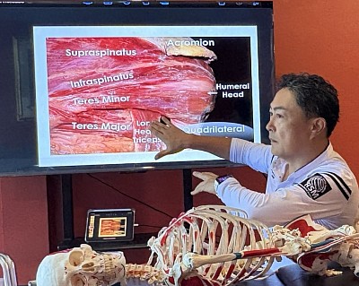 Manual therapy and sports medicine massage