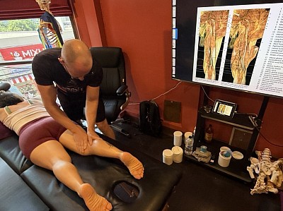 Myofascial Anatomy for Sports Massage