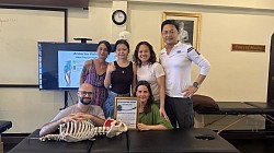 Deep Tissue Massage Course for Posture Correction