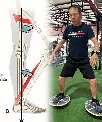 Dynamic Posture Assessment