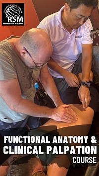 Corso di anatomia funzionale e palpazione clinica