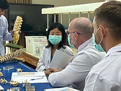Facoltà di Medicina dell'Università di Chiang Mai