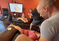 Formazione in terapia manuale clinica