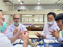 世界中から集まるプロのマッサージセラピスト