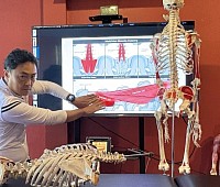 上陰窩神経周囲のトリガーポイント療法、