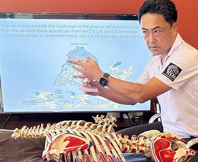 スポーツ医学とエビデンスに基づいたマッサージスキルセット