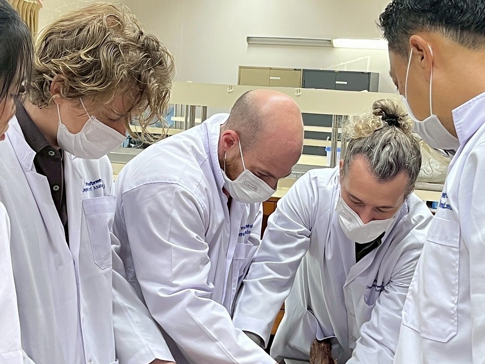 의욕 넘치는 마사지 치료사들