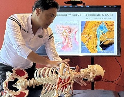 Anatomi Fungsian dan Urutan Sukan