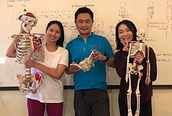 Thaise en Koreaanse yogadocenten
