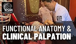 Functionele anatomie en klinische palpatie
