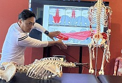 Myofasciale triggerpointtherapie voor lage rugpijn