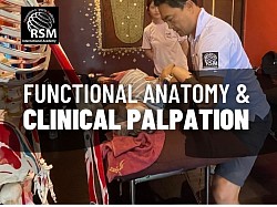 Anatomia funkcjonalna i palpacja kliniczna