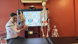 Anatomia funkcjonalna