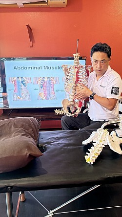 Anatomia funkcjonalna w masażu sportowym