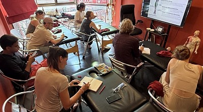 Клиническая пальпация и функциональная анатомия