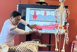 Clinical Myofascial Trigger Point Therapy for Lower Back Pain