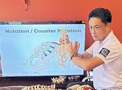 Klinik Lumbopelvik Stabilite Değerlendirmesi